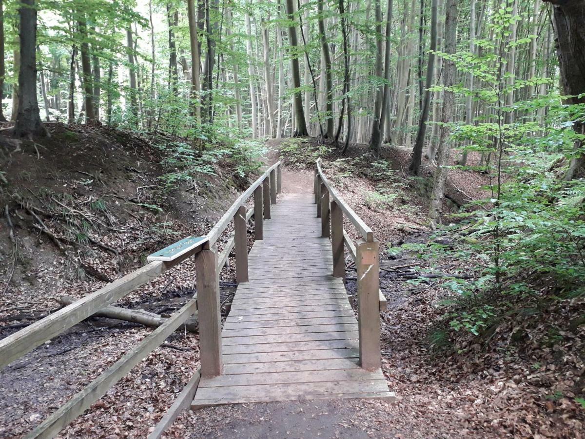 Ferienwohnung Wellenreiter Sassnitz Bagian luar foto